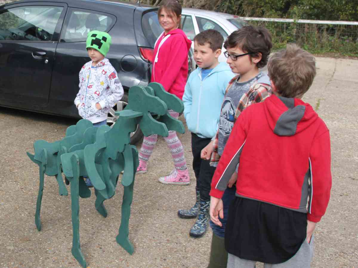 Dinosaur Expeditions picture gallery